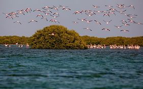 Flamingo Beach Hotel